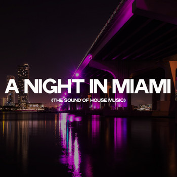 Various Artists - A Night in Miami (The Sound of House Music)
