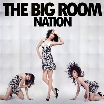 Various Artists - The Big Room Nation