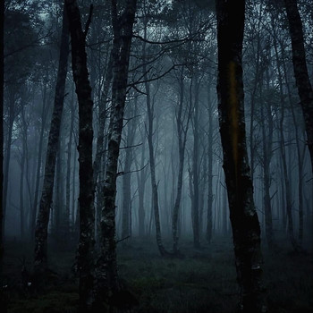 No Signal - Vanished