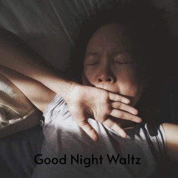 Various Artists - Good Night Waltz