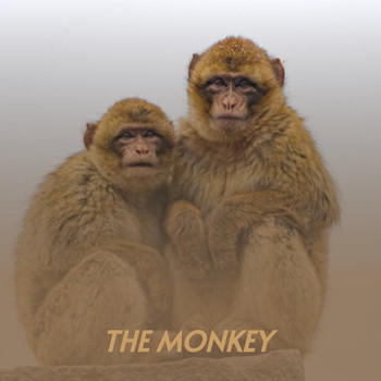 Various Artists - The Monkey