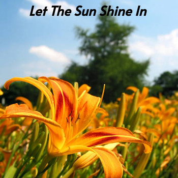 Various Artists - Let the Sun Shine In