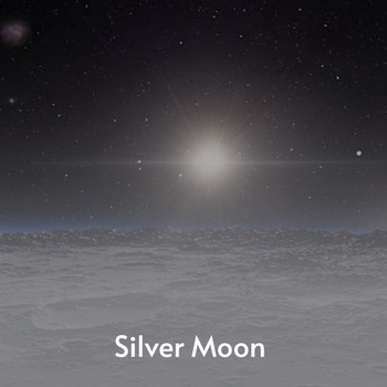 Various Artists - Silver Moon