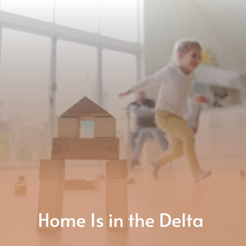 Various Artists - Home Is In the Delta