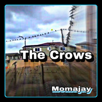 momajay - The Crows