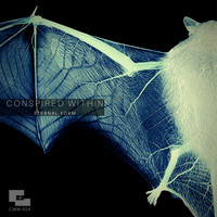 Conspired Within - Eternal Form