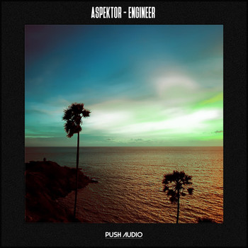 Aspektor - Engineer