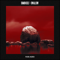 Simon Delf - Swallow