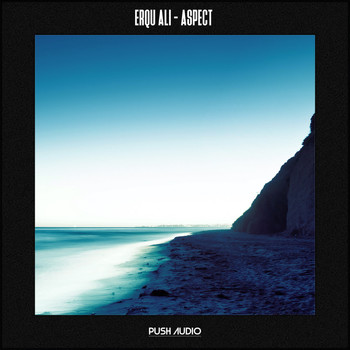 Erqu Ali - Aspect