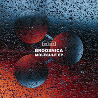 Broosnica - Molecule EP