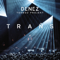 Denez Prigent - Denez Teknoz Projekt - Trañs (Live à Yaouank)