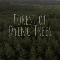 Embodimensional - David Jackson / - Forest Of Dying Trees