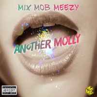 Meezy - Anotha Molly