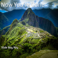 Slide Boy Roy - Now You're Gone