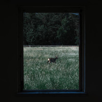 Tom Finster - Our Fears Won't Save Us