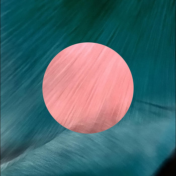 Dott - Shut It Down