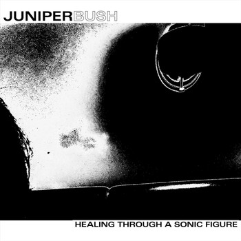 Juniper Bush - Healing Through a Sonic Figure
