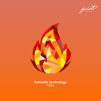 Domestic Technology - Frisky