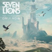 Seven Lions feat. Tyler Graves - Only Now (feat. Tyler Graves)
