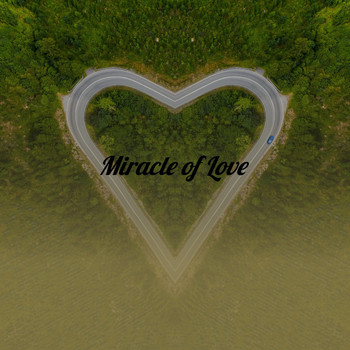 Various Artists - Miracle of Love