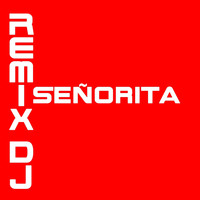 Remix DJ - Señorita