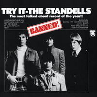 The Standells - Try It (Mono Version)