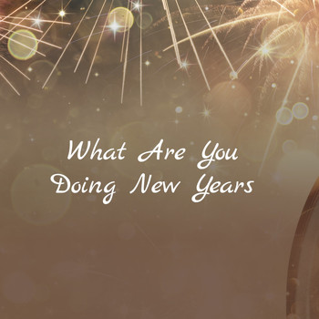 Various Artists - What Are You Doing New Years