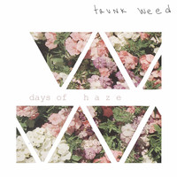 Trunkweed - days of haze (Explicit)