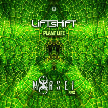 Liftshift - Plant Life (MoRsei Remix)