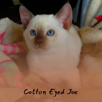 Various Artists - Cotton Eyed Joe