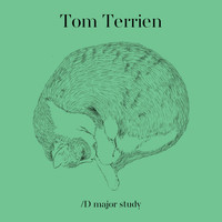 Tom Terrien - D Major Study