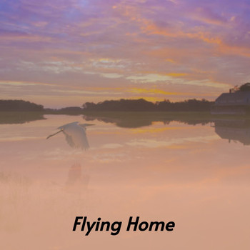 Various Artists - Flying Home