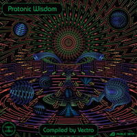 Vectro - Protonic Wisdom