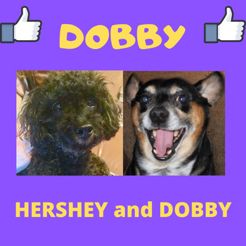 Andy Garrett - Dobby - Hershey and Dobby