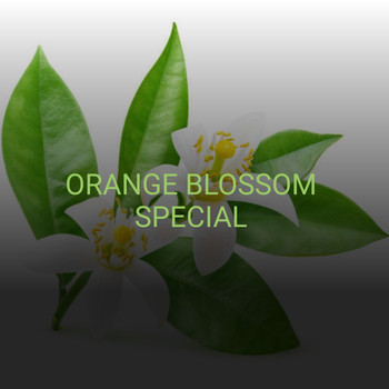 Various Artists - Orange Blossom Special