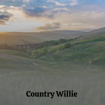 Various Artists - Country Willie