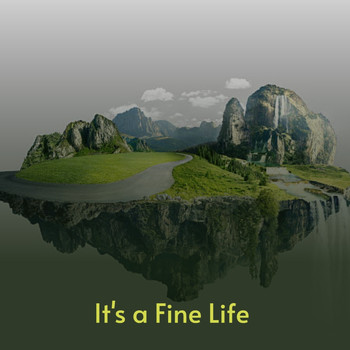 Various Artists - It's a Fine Life