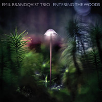 Emil Brandqvist Trio - Entering the Woods