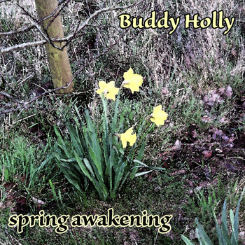 Buddy Holly - Spring Awakening