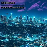 The Cosmos - Reality or Fantasy