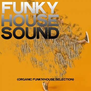 Various Artists - Funky House Sound (Organic Funk'n'house Selection)