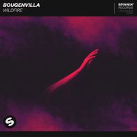 Bougenvilla - Wildfire