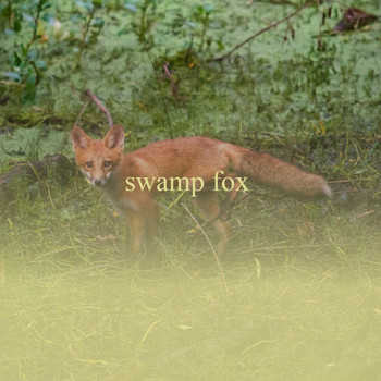 Various Artists - Swamp Fox