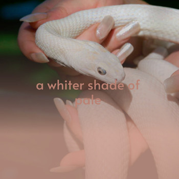 Various Artists - A Whiter Shade of Pale