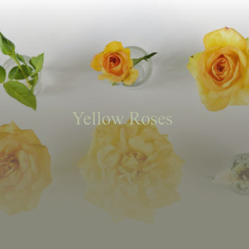 Various Artists - Yellow Roses