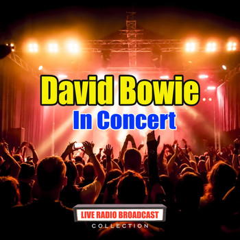 David Bowie - In Concert (Live)