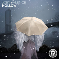 Joey Valence - Hollow