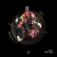 POLS - Magneto