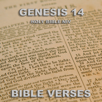 Bible Verses - Holy Bible Niv Genesis 14