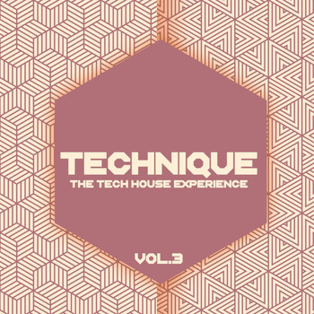 Various Artists - Technique, Vol. 3 (The Tech House Experience)